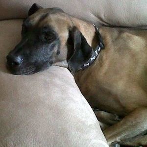 Meet your Posher, Sandi